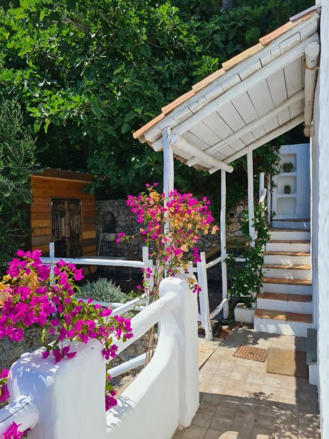 Apartamento Soqquadro Art&Relax - Spotorno  Exterior foto
